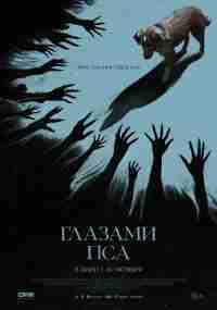 Глазами пса